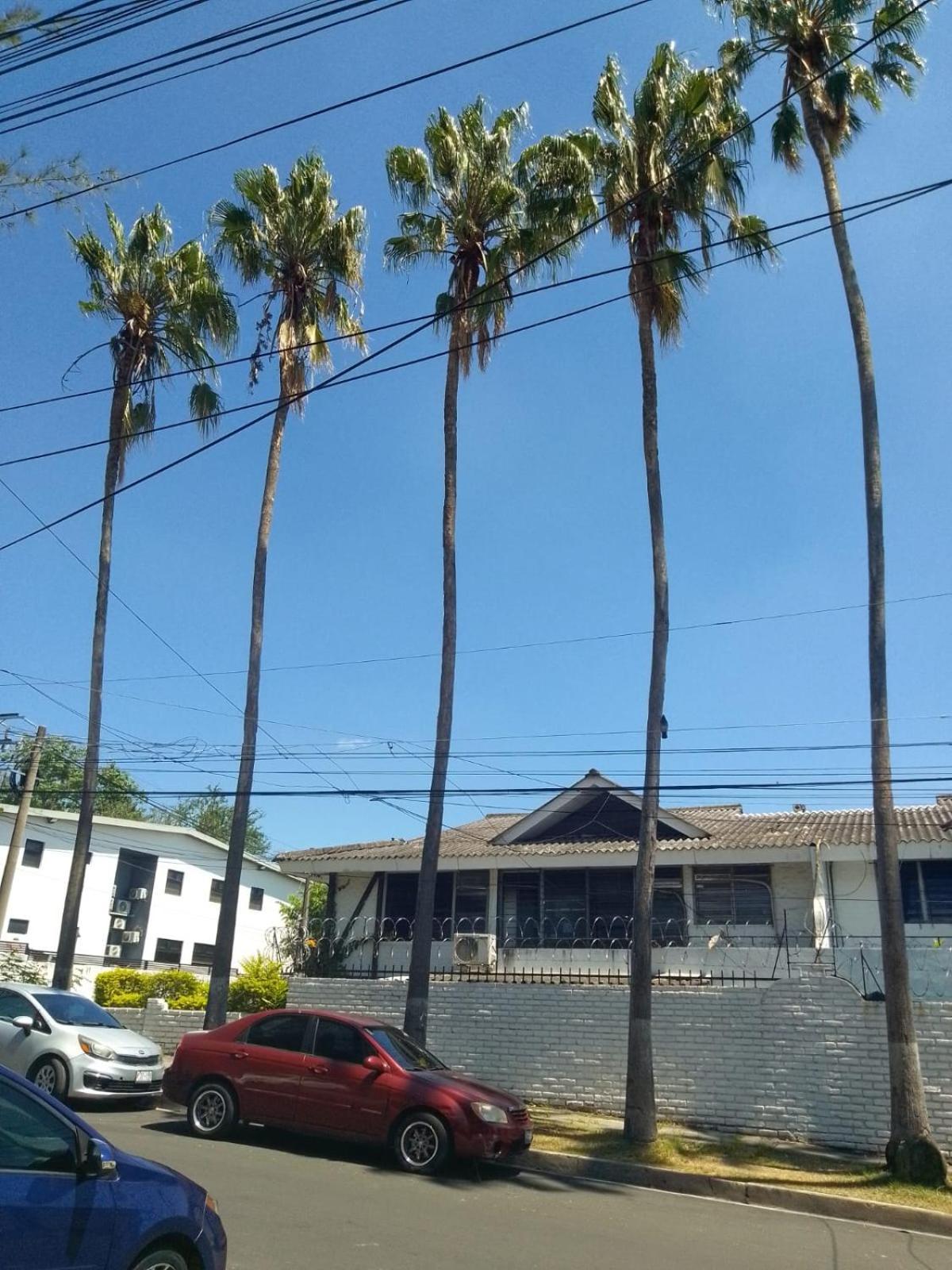 Comfort Home Escalon San Salvador Exterior foto